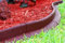 Ecoborder - Bordure de Jardin Extérieur - Bordure de Jardin Flexible - Bordures de Jardin 7 Mètres avec Encrages Inclus - Bordurette de Jardin Flexible sans Creusage - Hauteur de 7.6 CM - Rouge