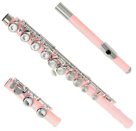 Professionelle Querflöte Rosa 16-Loch-Flöte, Geschlossenes Loch, C-Ton, Neusilber-Klappe, Kupfernickel-Röhrenflöte Mit Aufbewahrungsbox