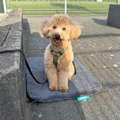 Manuly Hundedecke für unterwegs, Set aus Hundematte selbstaufblasend, flauschigem Langhaar Bezug und Tragetasche, waschmaschinentauglich, Bezug kann gewechselt Werden, 60x40x3,5cm, 470g