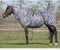 QHP Ekzemdecke mit Hals und abnehmbarem Bauchlatz (110 cm, Zebra)