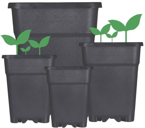 Weedness Pot de Fleurs en Plastique 2 litres 13x13x13 cm Carré en Noir pour l'Intérieur et l'Extérieur - Pot de Plantes pour Balcon et Jardin