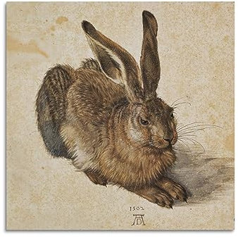 RedVos Albrecht Dürer Artworks Kunstdruck auf Leinwand, Motiv: Junger Hase, 1502, ästhetische Wandkunstdrucke, Heimdekoration, Geschenke, 40 x 40 cm
