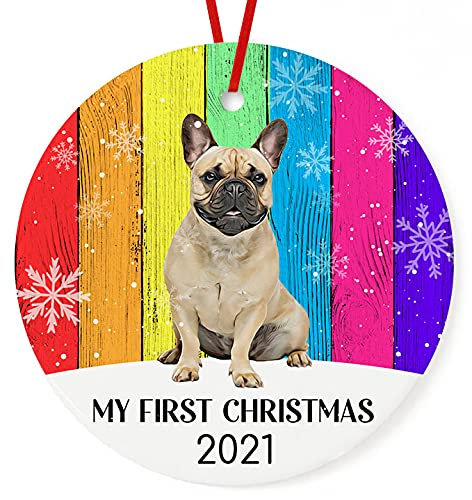 Weihnachtsanhänger Christbaumschmuck Anhänger Keramik Weihnachtsbaumschmuck Weihnachtsdeko Anhänger Mein Erstes Weihnachten 2023 French Gay Pride LGBT