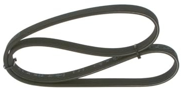 Bosch 6DPK1841 - Ribbed V-belt - 1987946208