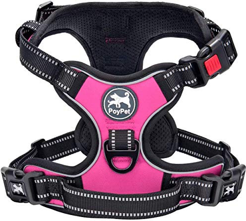 PoyPet Keine Pull Hundegeschirr Front Reflektierende Pet Weste für Hunde mit Einfache Kontrolle Griff und Rückseite perfekt für den täglichen Training, Walken, Running(Rosa,M)