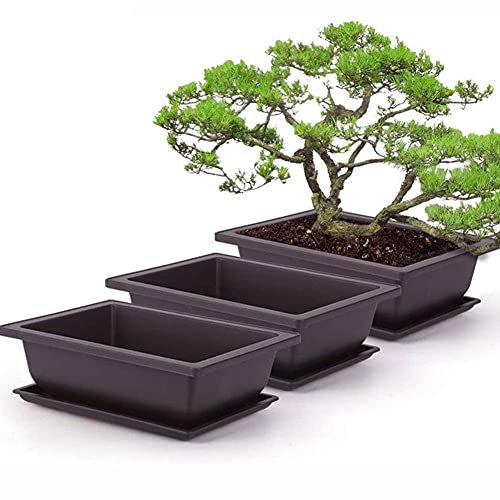 Bonsai Training Pots and Trays,Rectangle Plant Pot, Plastic Bonsai Training Pots, Flower Succulent Pots with Trays Durable Planter Plants Growing Pots Container Succulent Planter 6PCS