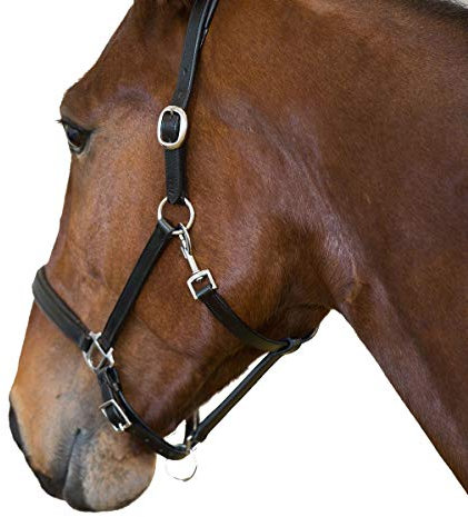 Horze Lederhalfter, schwarz, Full
