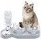 Katzennapf 3er Set, 3 in 1 Katzenfressnapf, 15 ° Kippbare Futternapf für Katze, Näpfe Tränken & Zubehör für Katzen, Fressnapf Katze Erhöht für Katzen und Kleine Hunde