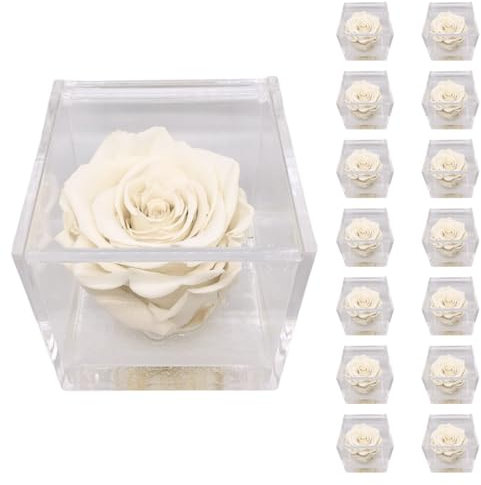 PremiumRose 15 Cubi Rosa Bianca Stabilizzata e Profumata da 6 cm con Rosa Eterna Vera, Idea Regalo Mamma, Fidanzata, Amica, Idea Regalo per Compleanno, Laurea, Matrimonio, Made in Italy (15 Pezzi)