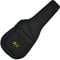 Clearwater Acoustic Guitar case Hard Foam pod Gig Bag