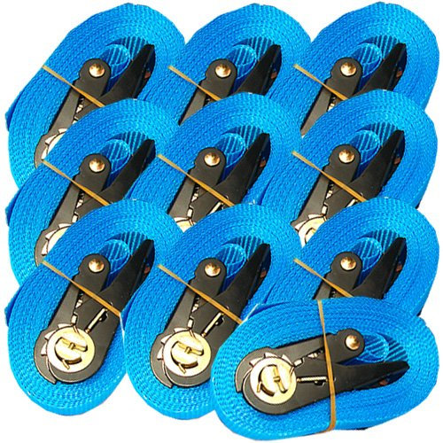 10 SPANNGURTE mit ZURRRATSCHE 6 m 0,8 t EN-12195-2 Zurrgurte 6m (Blau) (10 Stück)