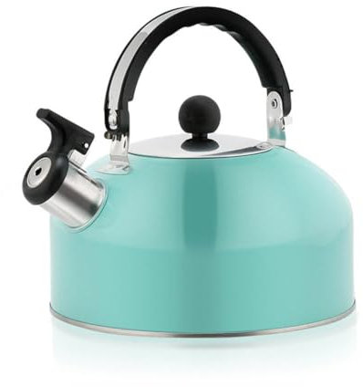 Hervidor de cocina de gas de acero inoxidable con fondo plano de 3 litros para todos los accesorios de estufa, hervidores de agua, tapas de gas
