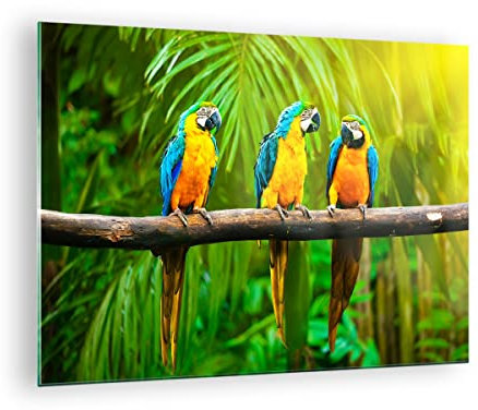 ARTTOR Bilder auf Glas Papageien Collorful Natur Vögel Glasbild 70x50cm Wandbilder Dekoration Wohnzimmer Schlafzimmer Küche Deko Klein Wanddeko Bild im Glas Wand Kunstdruck Art Modern GAA70x50-2696