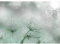 Runa Art Fototapeten 396 x 280 cm Blumen Pusteblume - Vlies Wanddekoration Wohnzimmer Schlafzimmer - Deutsche Manufaktur - Grün 9426012b