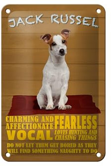FEMER Blechschild Spruch 12x18cm Jack Russel Hund Charming