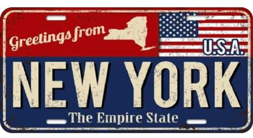 LYEAA Vintage Metallschild Nummernschild New York rechteckig Eisen Gemälde Wanddekoration 30 x 15 cm (2)