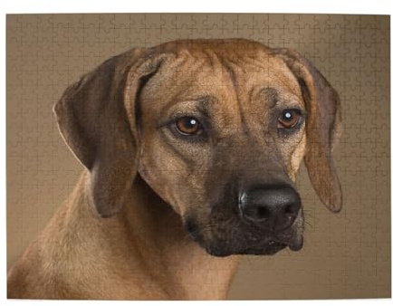 Rhodesian Ridgeback Puzzle für Erwachsene, 500 Teile – Holzpuzzle für Erwachsene und Senioren