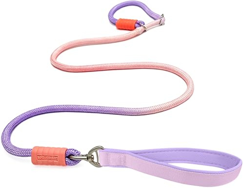 Laisse de dressage pour chiens – Laisse de dressage durable de 1,5 m avec bouchon en caoutchouc, facile à enfiler, pas de collier ou de harnais nécessaire, laisse anti-nœuds et anti-étranglement avec