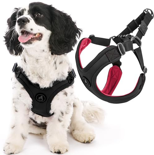Gooby Escape Free Sportgeschirr – Schwarz, Klein, kein Würgen, Step-in, Neopren, Vier-Punkt-Verstellung, bequemes Hundegeschirr für kleine und mittelgroße Hunde, kein Ziehen, perfekt für unterwegs