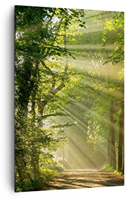 Wandbilder Dekoration Wohnzimmer Wald Baum Natur Bilder auf Leinwand 80x120cm Leinwandbild mit Rahmen Schlafzimmer Küche Deko Wand Kunstdruck Art Groß XXL Wanddeko Bild Wall Decor Canvas PA80x120-3661
