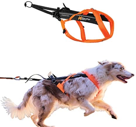 Non-stop dogwear Freemotion harness 5.0 Dog Pulling Harness for Sports like Running, Biking and Skiing with Dogs, Professional Adjustable Dog Harness, Orange/Black, Size 3