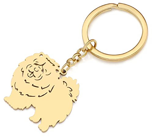 RAIDIN Edelstahl 18K Gold Silber Plattiert Süße Schlüsselanhänger Hund Schlüsselring für Damen Mädchen Geschenke Auto Geldbeutel Schlüssel Zubehör (Gold-101 Chow)