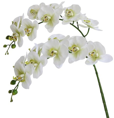 Htmeing 96,4 cm künstliche Phalaenopsis-Blumen, Äste, fühlen sich echt an (nicht Seide), Orchideen-Blumen für Zuhause, Büro, Hochzeitsdekoration, 2 Stück (grün, weiß)