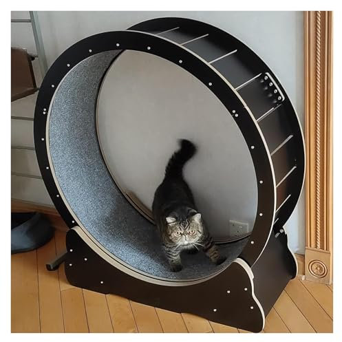 Katzenlaufband，Katzenlaufrad， Duty Cat Wheel Übungslaufband Schwarz Leise Kleine Mittlere Große Katzenlaufband Katzenkratzbrett(L-Inner Diameter 100cm(39 3/8))