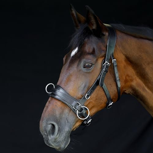 Heinick-Reitsport Profi Leder KAPPZAUM mit Gebissriemen ~ ProLine Schwarz ~ Warmblut/Vollblut