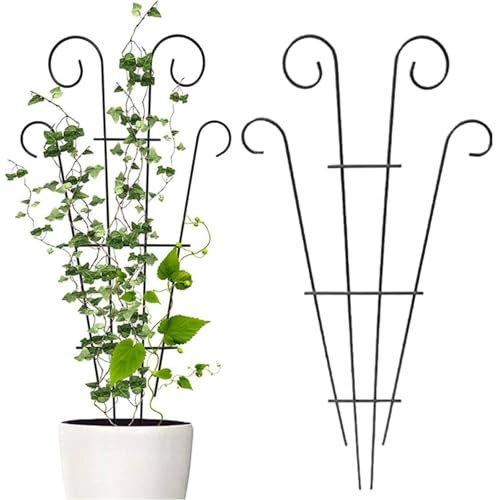 Plant Trellis for Climbing Plants outdoor, Black Coated Fan Pot Trellis Garden Metal Support Stake for Indoor Outdoor Vines Flower Vegetable (black 1pcs)