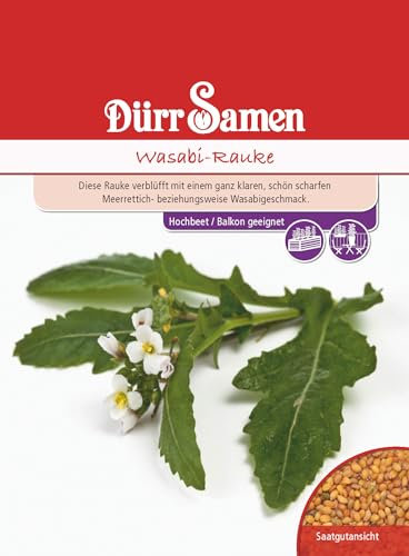 Wasabi Samen Rauke Wasabiraukensamen ca 100 Korn Küchenkräuter Kräutersamen Saatgut Balkon Garten Hochbeet Kübel Dürr Samen