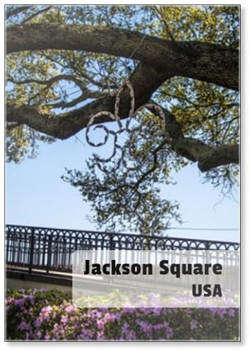 A Fleur De Lis Decoration Covered in Lights Hung in A Tree with Azalea Bushes Growing Below by Jackson Square, New Orleans, Louisiana, USA, Fridge Magnet