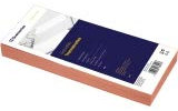 Trennstreifen 10,5x24cm Karton rosa 100 St.Pack. (121220632)