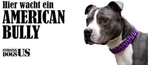 Strong Dogs US. /Hundeschild Warnschild Achtung Hier wache ich/Hinweisschild Gartentor Gartenzaun - Türschild Haustüre Warnschild/Abschreckung Einbruchschutz (American Bully)