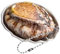 Gadget De Pulvérisation D'eau De Coquille Réaliste - Jeux De Pulvérisation D'eau De Coquille Pour La Plage | Jouet De Plage À Coquille | Gadgets De Pulvérisation D'eau F0rma De Coquille Realis