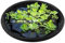 Duroecsain Barrera para plantas flotantes | Isla de plantas flotantes, red para estanques, piscinas de peces redondas para animales acuáticos, interior y exterior, acuario, invernadero, jardín