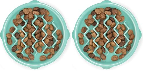 Outward Hound Puppy Slow Feeder Dog Bowl - Also suitable for Cats - Makes Meal Time Fun, Slows Down Eating, Promotes Healthy Digestion, Prevents Bloat | Slip Resistant and Durable, Size Small (Mint)