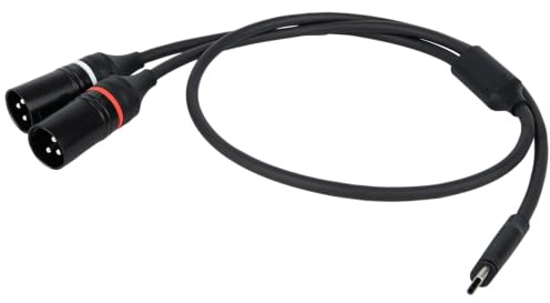 DAP FL112 - USB-C to 2 XLR/M 3P 0,75m