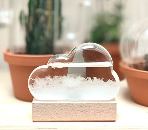 Geschenk Maestro Barometer Sturmwolke