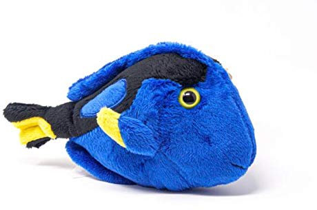Cornelißen Kuscheltier - Paletten-Doktorfisch - 18 cm