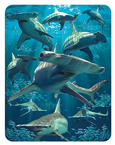3D LiveLife Magnet - Hammerhaifisch von Deluxebase. Linsenförmige 3D Haifisch Kühlschrankmagnet. Dekoration für Kinder und Erwachsene mit Kunstwerk lizenziert von bekannt Künstler, David Penfound