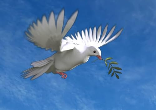 Edition Colibri FRIEDENSTAUBE Lentikular-Postkarte mit Wechselbild/Wackelbild (Flip) (10203)