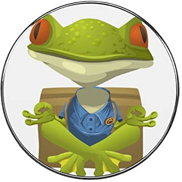 Lustiger Frosch Magnete Für Magnettafel Rund Dekorative Für Kühlschrank Magnetwand Fotos