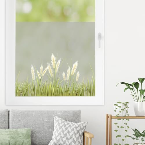 Sichtschutzfolie farbiges Pampasgras Gräser Fensterfolie Fensterdeko Milchglasfolie Sichtschutz Folie Fenster, 55 cm hoch, 65 cm breit