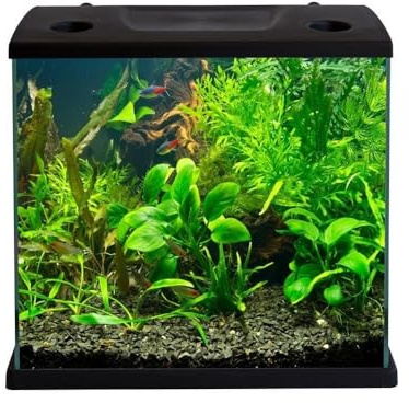 Aquariumline Cleo Plus 22,5 l Aquarium komplett mit Innenfilter - 34,5 x 23,5 x 33,5 cm schwarz