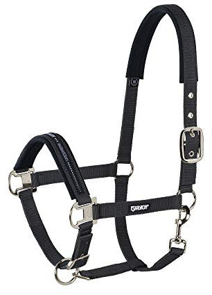 Halfter PIN BUCKLE CORE