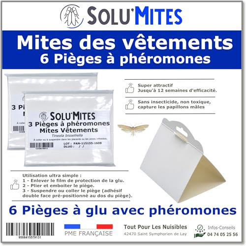 SOLUMITES - Lot de 6 Pièges à Phéromones pour Mites des vêtements et des Textiles - pour la Maison, Les magasins, Les entrepôts