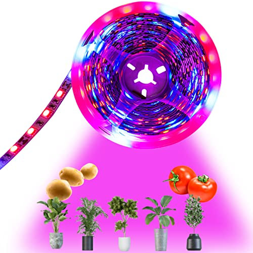Tesfish LED Pflanzen wachsen Streifen Licht DC 12V IP20 Vollspektrum SMD 5050 rot blau 4: 1 Seil Licht für Aquarium Gewächshäuser Pflanze