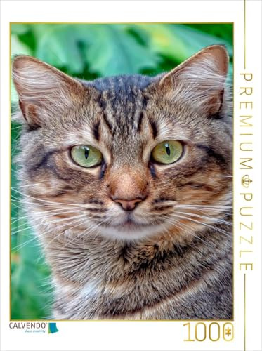 CALVENDO Puzzle Katze | 1000 Teile Lege-Größe 48 x 64 cm Foto-Puzzle für glückliche Stunden