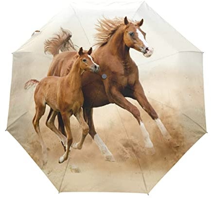 KAAVIYO Regenschirm Automatik Auf-Zu Taschenschirm Umbrella Kompakt Schirm für Kinder Mädchen Strand Frauen